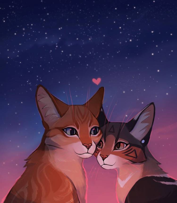 Влюбленные кошки