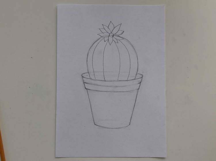 Как нарисовать кактус карандашом поэтапно