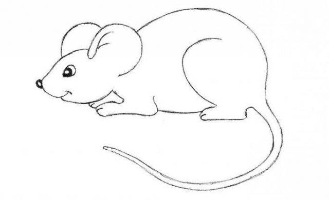Рисунки мышки карандашом для детей 