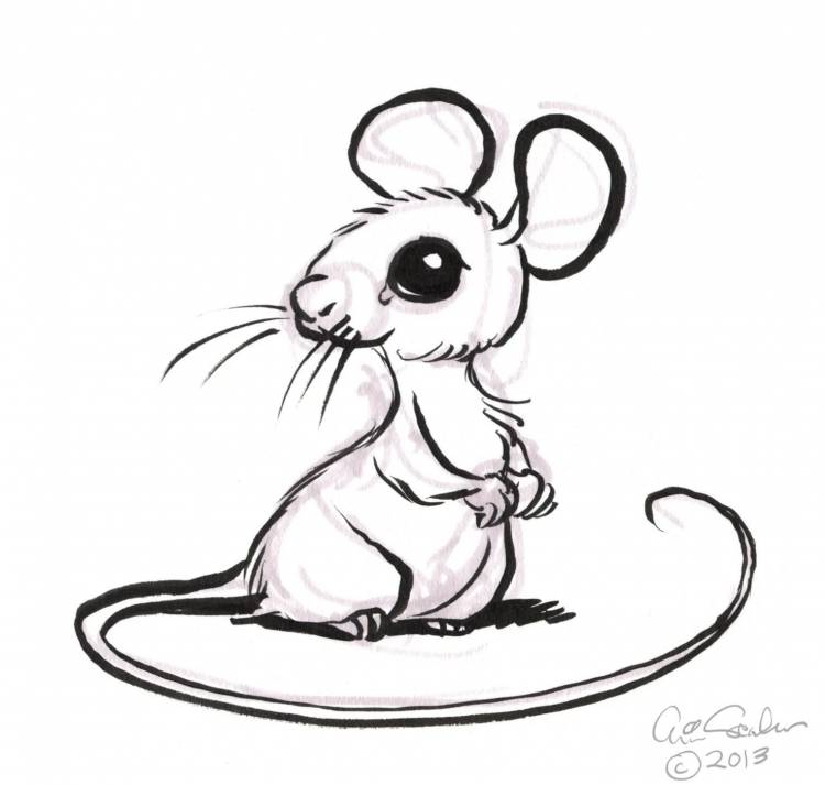 Рисунок мышки карандашом для срисовки