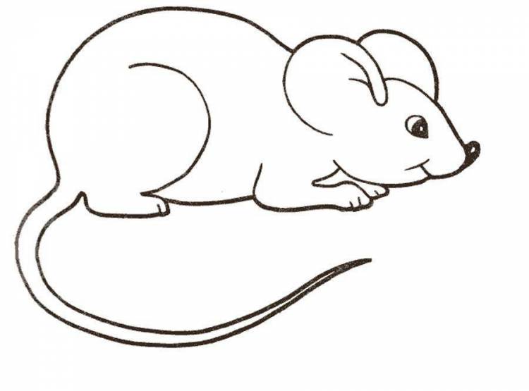 Рисунок мышка раскраска 