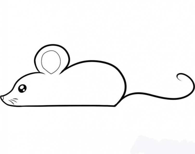 Простой рисунок мыши простым карандашом 