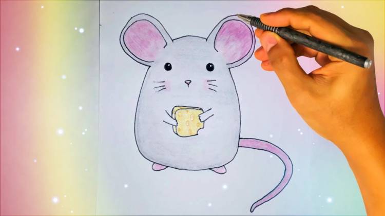 Как нарисовать мышку карандашами