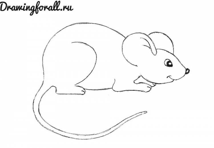 как нарисовать мышку для детей