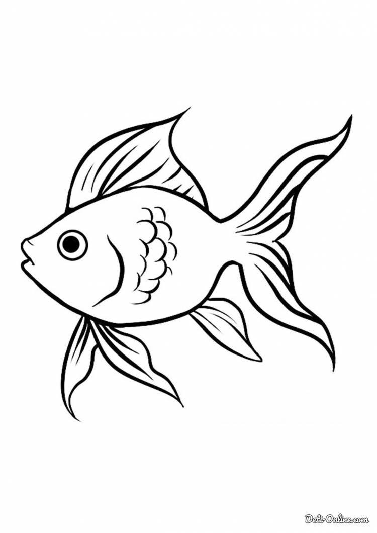 Золотая рыбка карандашом