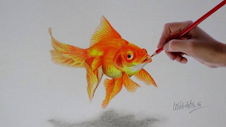 Золотая рыбка нарисованная
