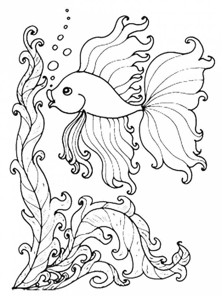 Раскраски Золотая рыбка
