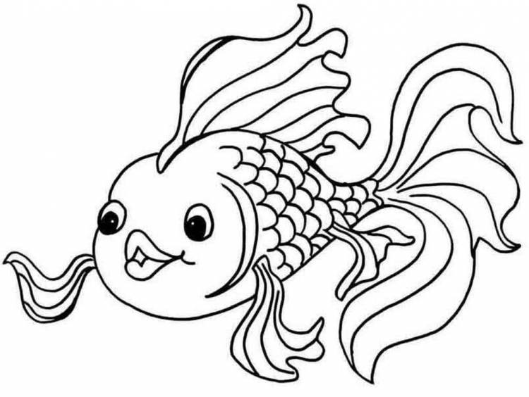 Золотая рыбка рисунок для детей раскраска 