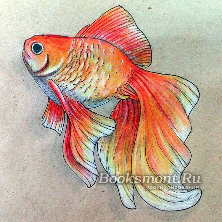 нарисованная рыбка карандашом