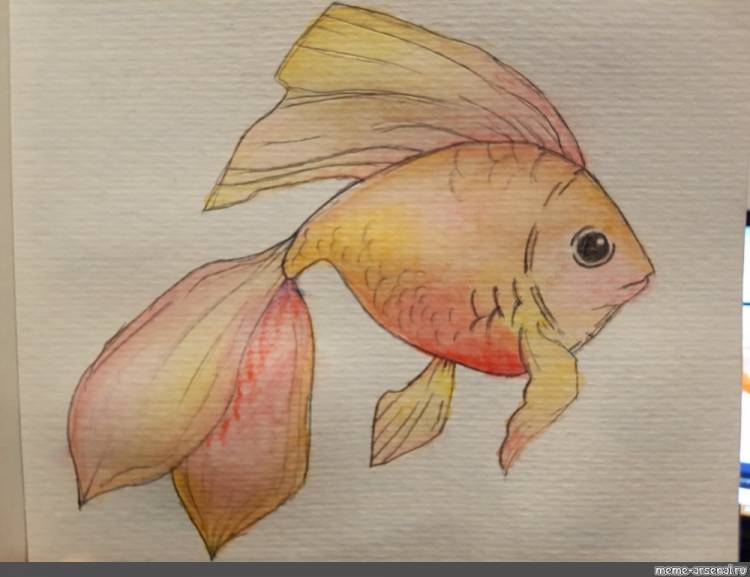 Создать мем фото рыбки карандашом, картинка для рисования золотая рыбка, золотая рыбка рисунок красками
