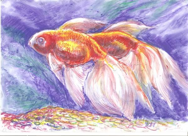 Рисунок Золотые рыбки поэтапно