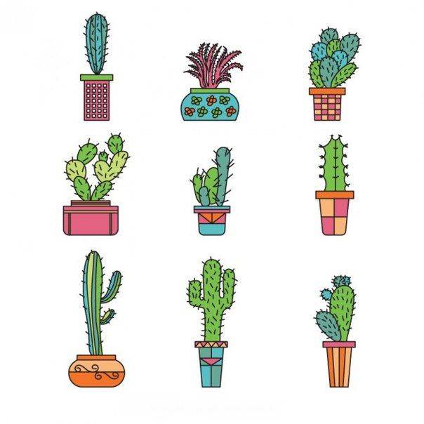 Рисунки кактусов для срисовки в скетчбук 