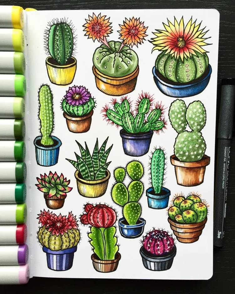 Рисунки для скетчбука кактусы