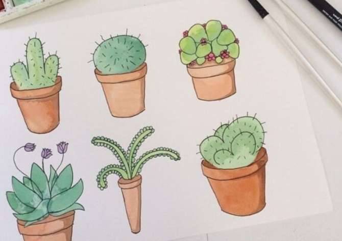 Простые рисунки для рисования в скетчбук кактусы