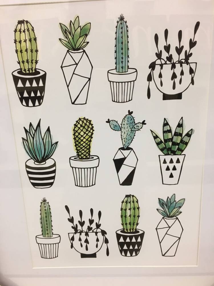 Рисунки для срисовки кактусы