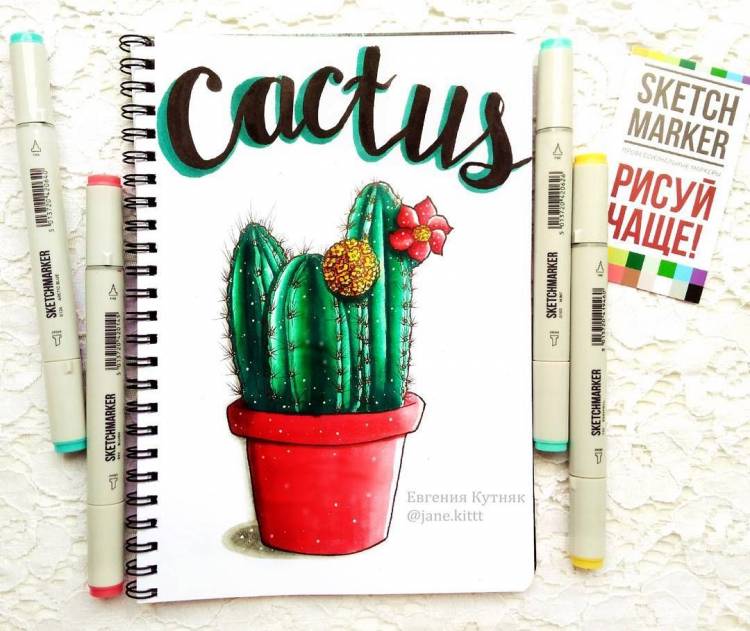 Рисунки кактусов для срисовки в скетчбук