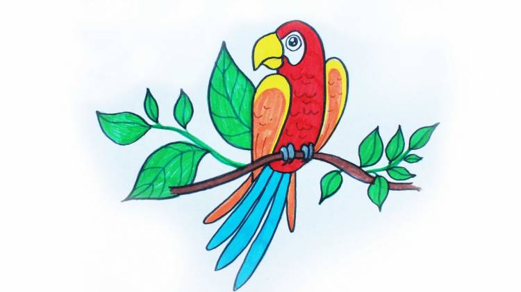Как нарисовать ПОПУГАЯ фломастерами ArtBerry how to draw a parrot