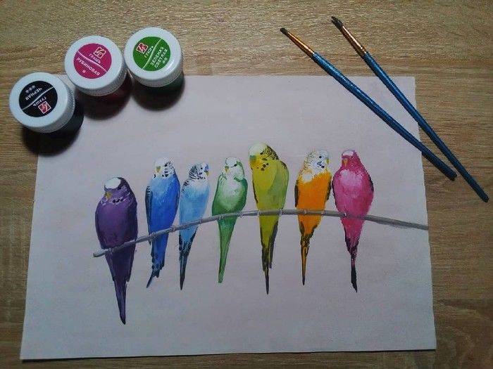 Как нарисовать попугая карандашом и красками 