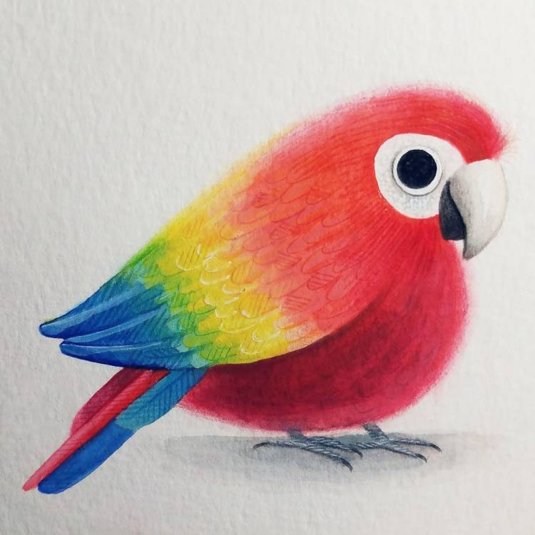 Рисунки попугайчики милые