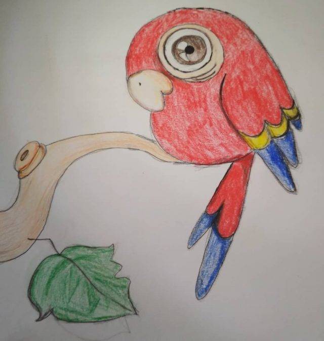 Рисунки для срисовки попугай 