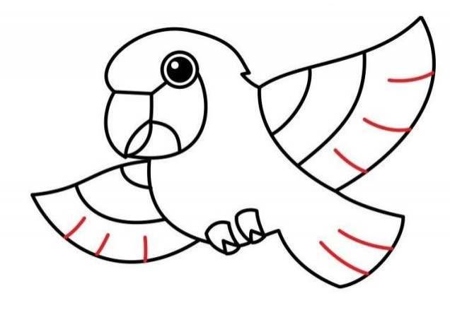 Простые рисунки для рисования попугай