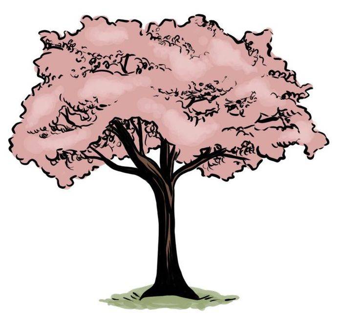 Дерево для срисовки для детей