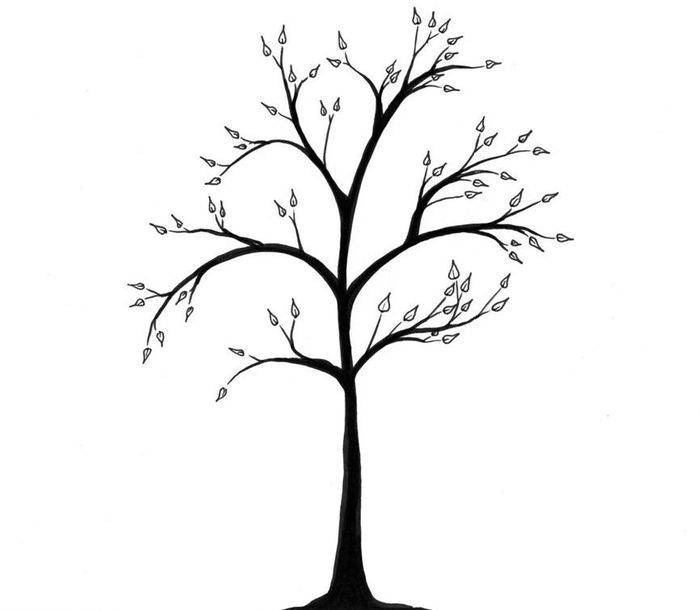 Дерево для срисовки для детей