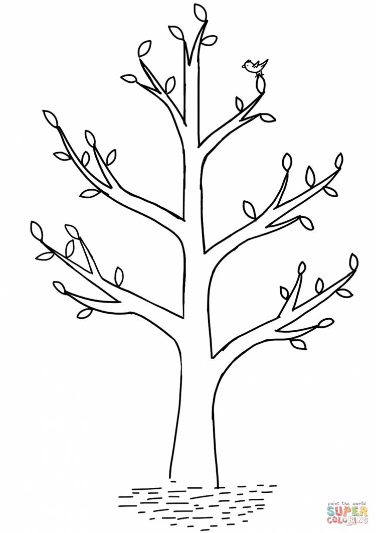 Раскраска Весеннее дерево