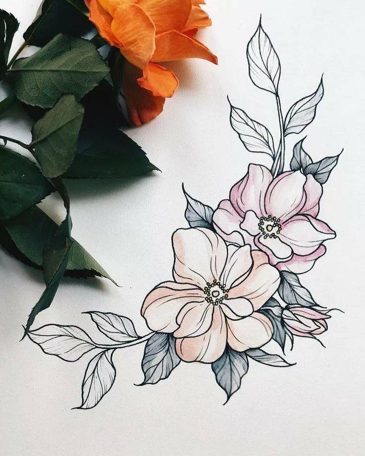 Рисунки цветов для срисовки в скетчбук 
