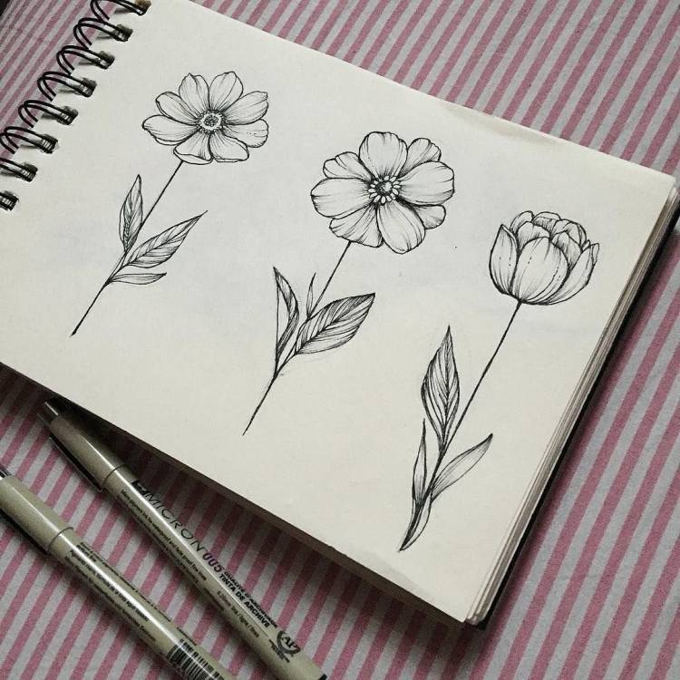 Цветы для срисовки в скетчбук