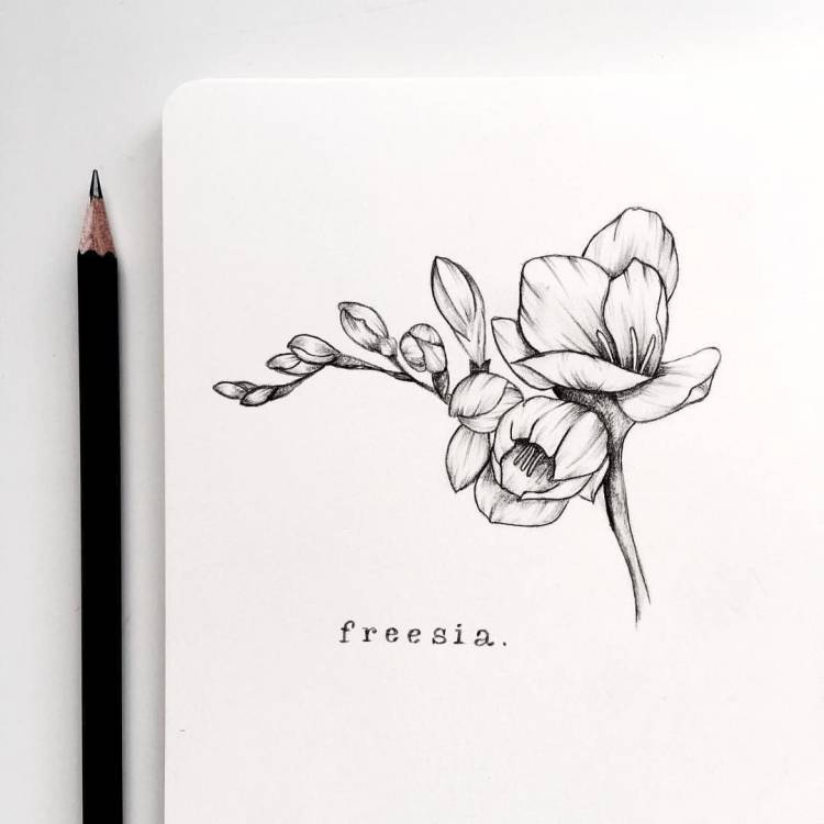 Цветы для срисовки в скетчбук легкие
