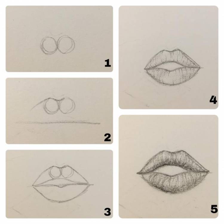 Как нарисовать губы начинающим