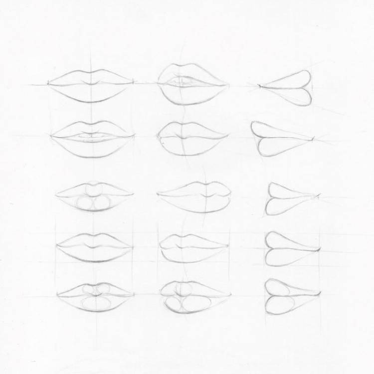 Как нарисовать губы начинающим