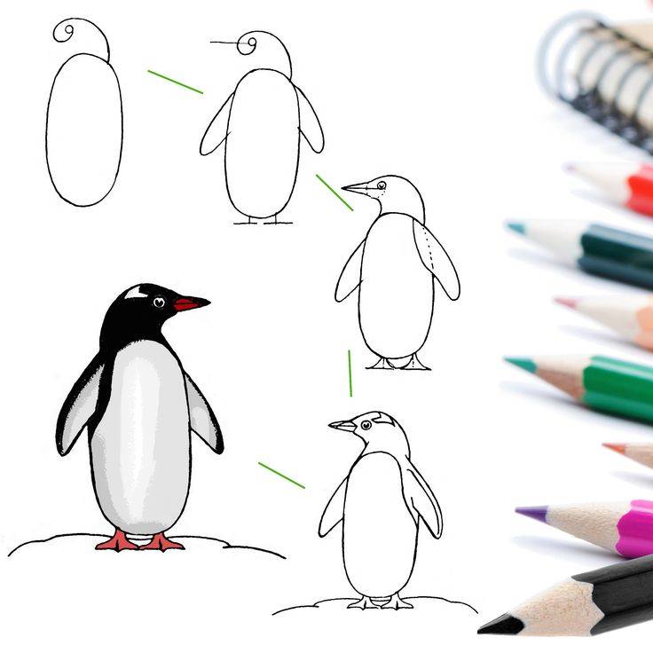 Рисуем карандашом птицу пингвин
