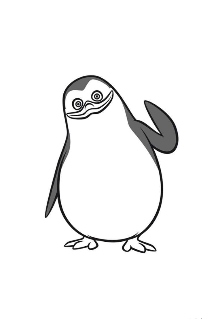 Пингвин для срисовки легкие