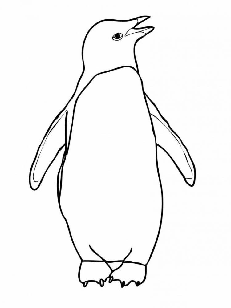Рисунки пингвина для срисовки 