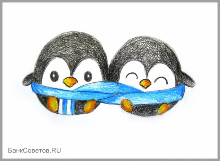 Урок для начинающих, как нарисовать пингвина карандашом поэтапно