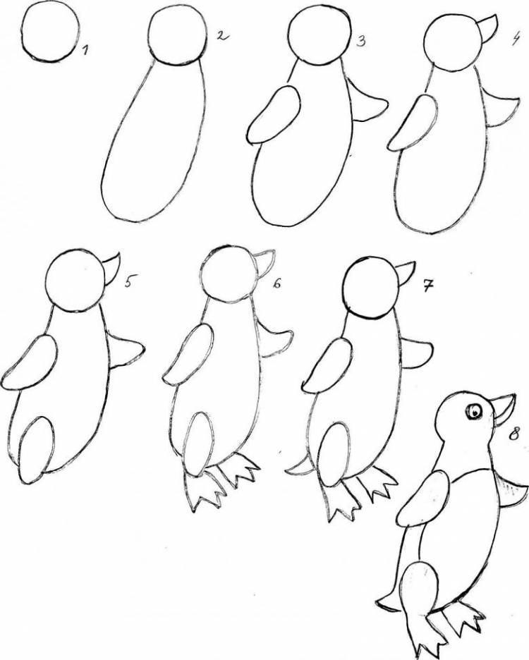 Как нарисовать пингвина поэтапно карандашом 