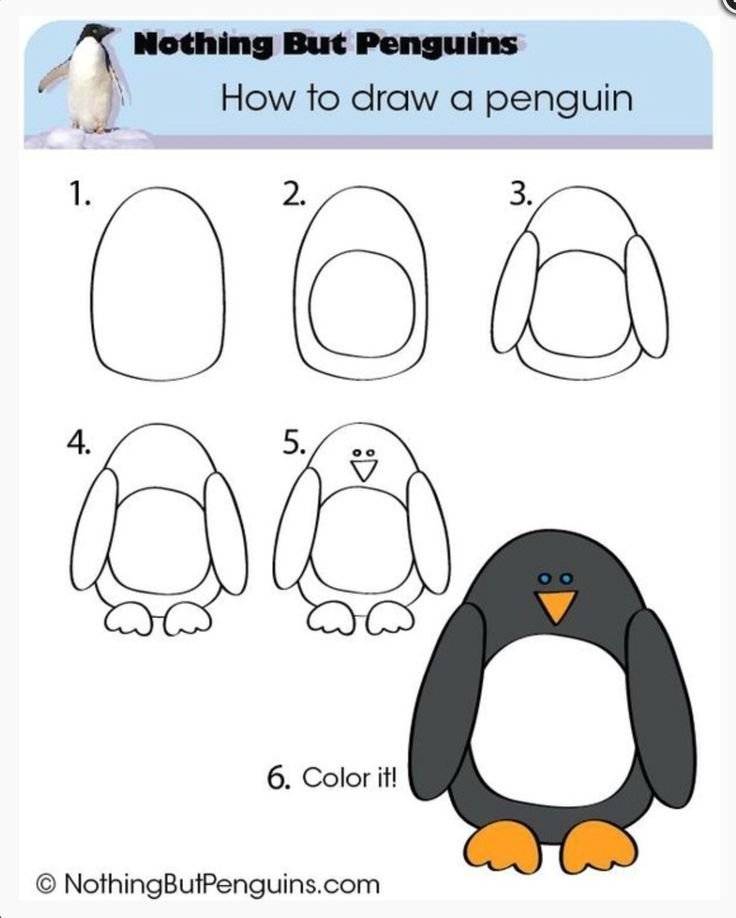 Пингвин рисунок поэтапно карандашом легко 