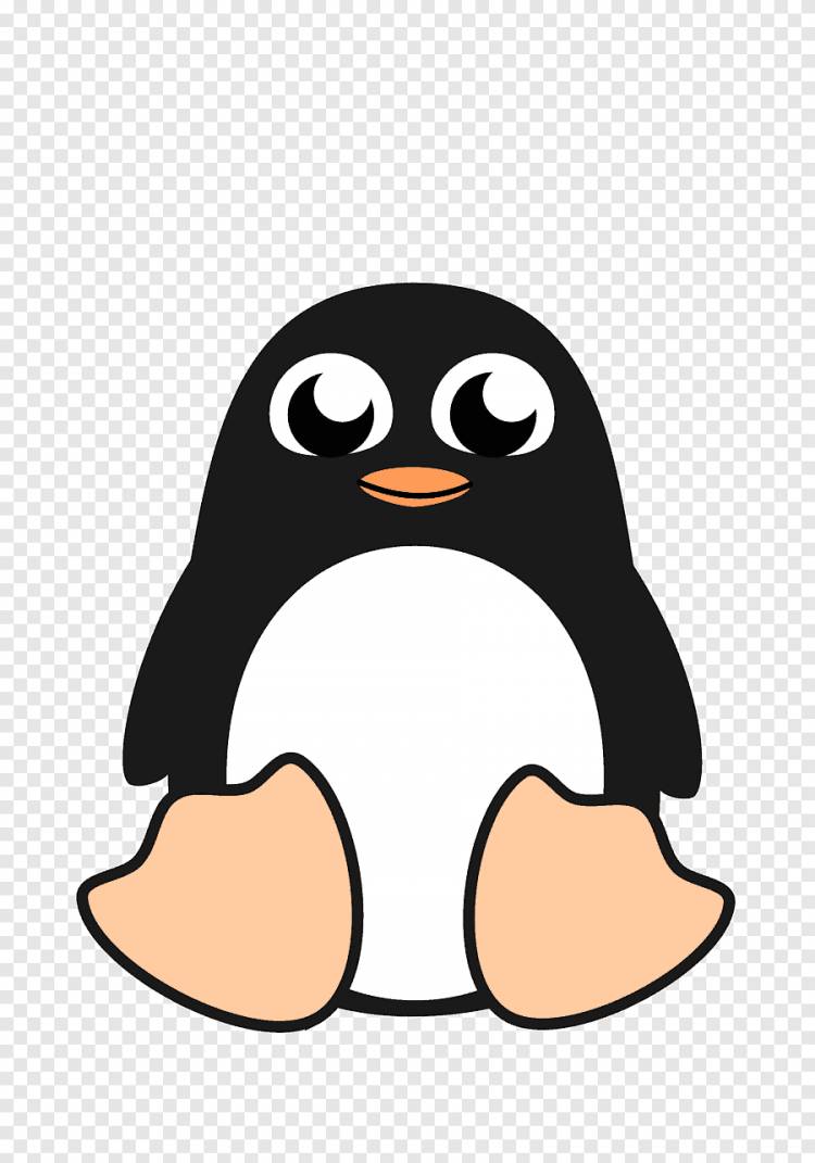 Рисунок пингвина, пингвин, животные, без роялти png
