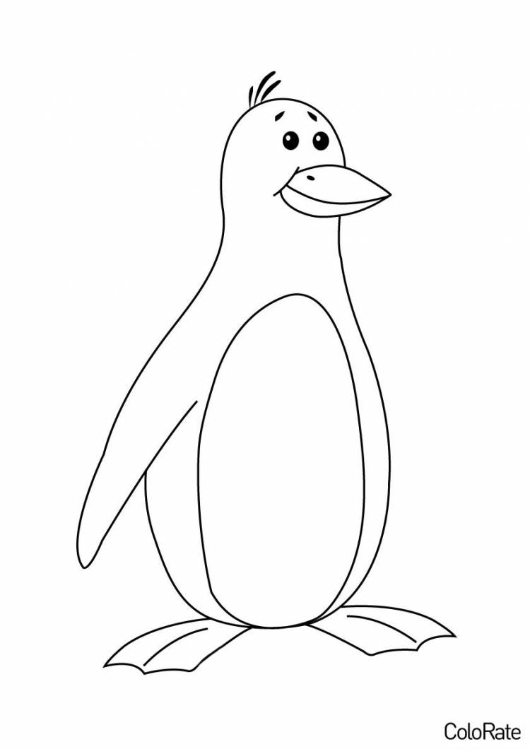 Раскраска Рисунок пингвина распечатать
