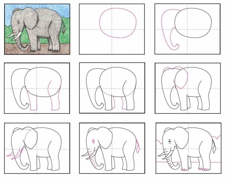Как нарисовать слоненка 