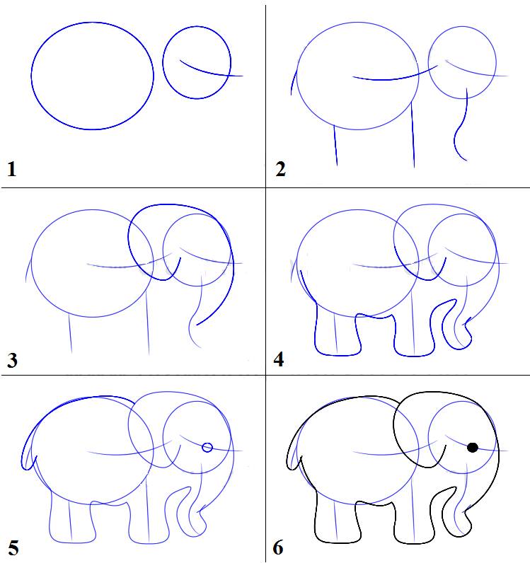 Рисунок слона карандашом Рисунки карандашом поэтапно