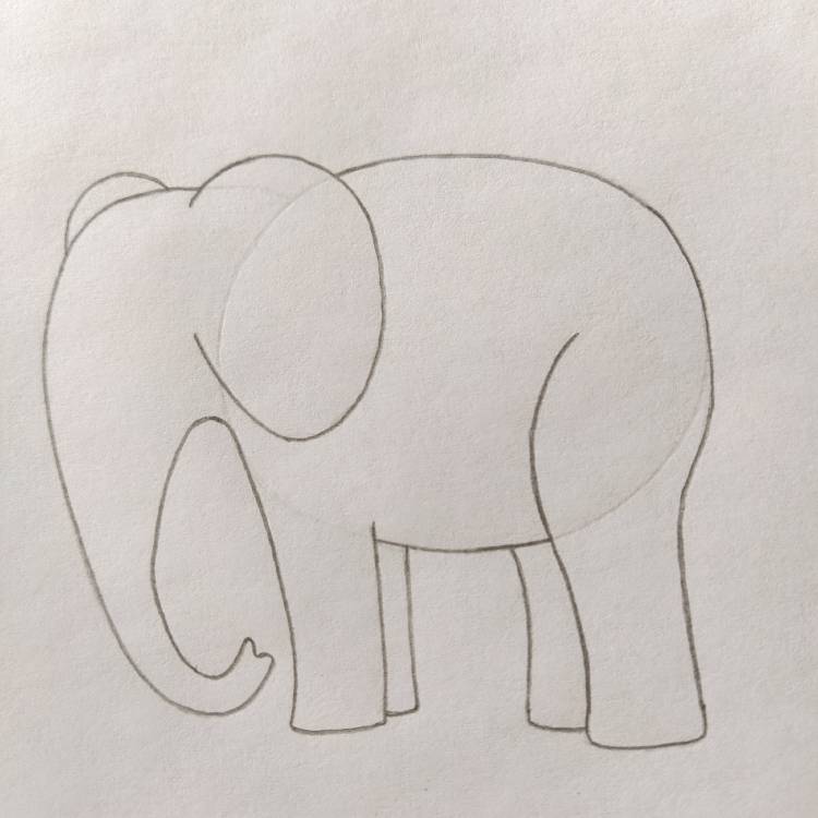 Слон рисунок легко