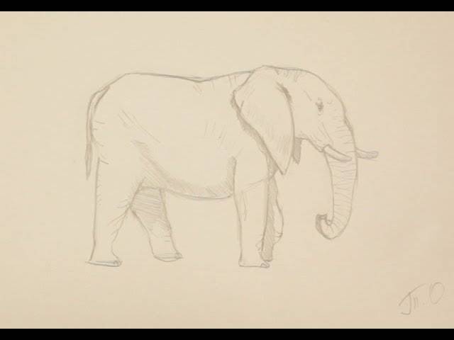 Как нарисовать слона поэтапно простым карандашом начинающие