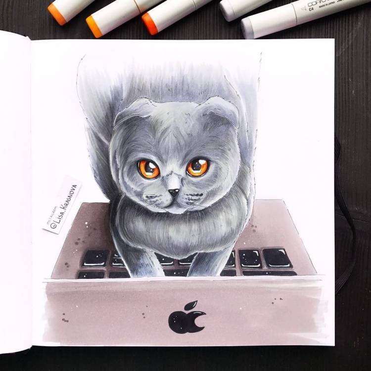Котик красивый рисунок легкий