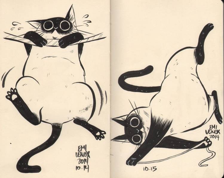 Рисунки котов в скетчбук