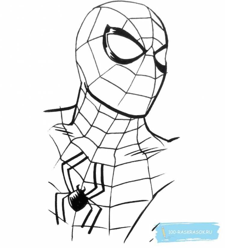 Рисунок человек паук легко