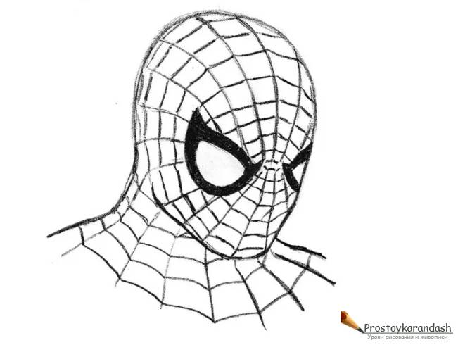 Как нарисовать человека-паука » Как нарисовать поэтапно