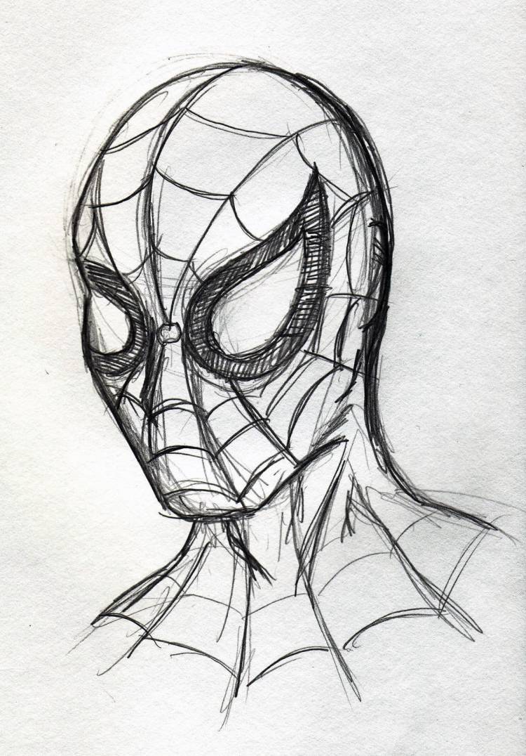 Рисунок простым карандашом человек паук